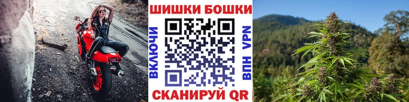 Каннабис план  где найти наркотики  Игра 